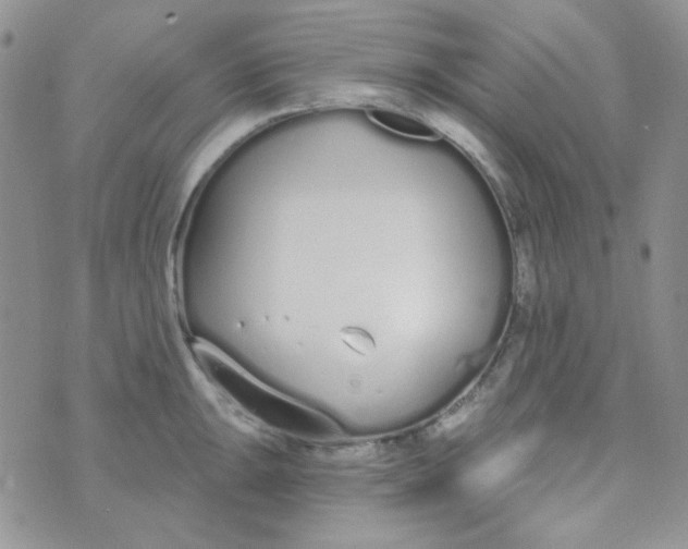 X0000074321047200609152027