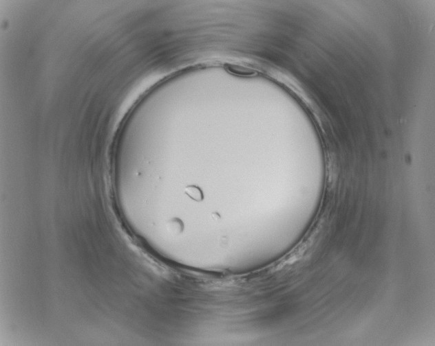 X0000074321048200609152027