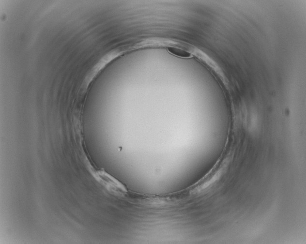 X0000074321049200609152027