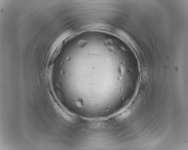 X0000074321050200609152027