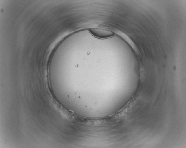 X0000074321051200609152027