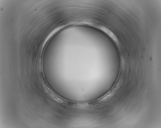 X0000074321052200609152027