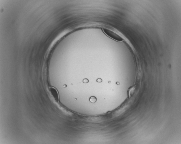 X0000074321053200609152027