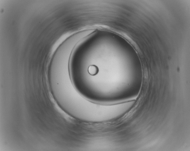 X0000074321054200609152027