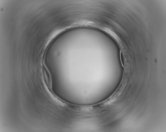 X0000074321055200609152027