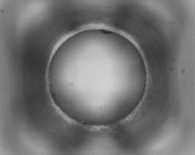 X0000074321056200609152027