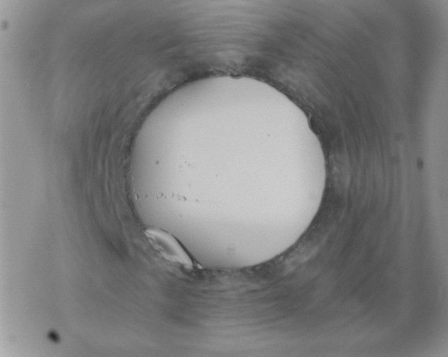 X0000074321057200609152026