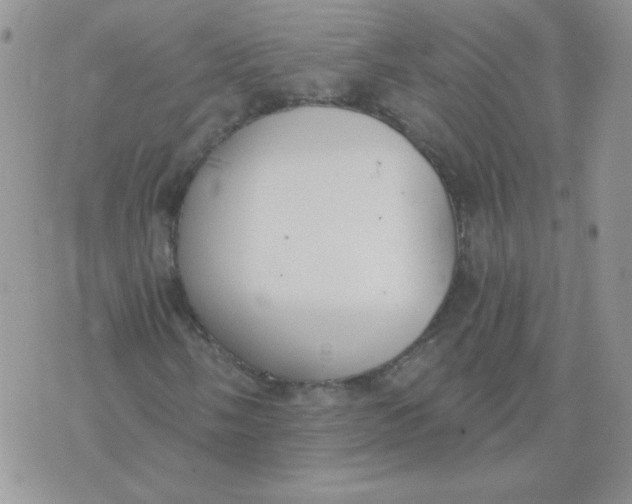 X0000074321058200609152026