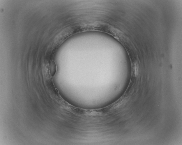 X0000074321059200609152026