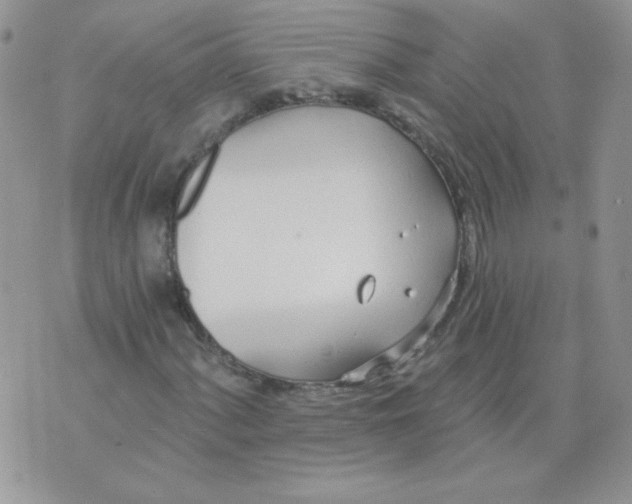 X0000074321060200609152026