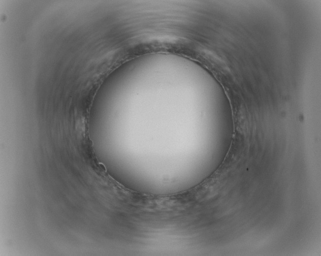 X0000074321061200609152026