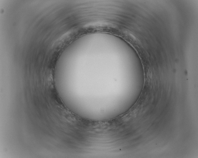 X0000074321062200609152026