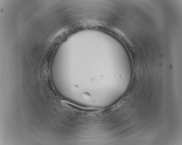 X0000074321063200609152026