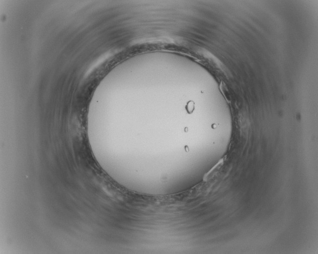 X0000074321064200609152026