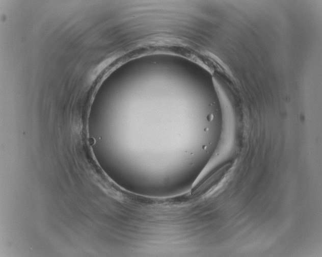 X0000074321065200609152026