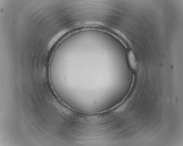 X0000074321066200609152026