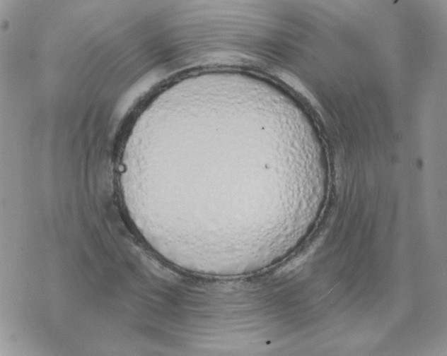 X0000074321067200609152026