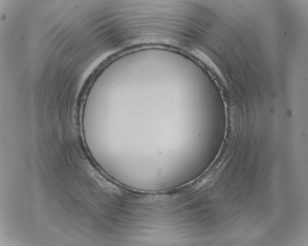 X0000074321068200609152026