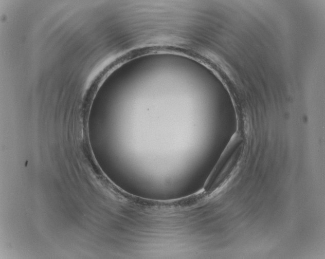 X0000074321069200609152026