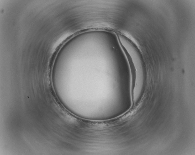 X0000074321071200609152026