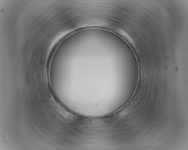 X0000074321072200609152026