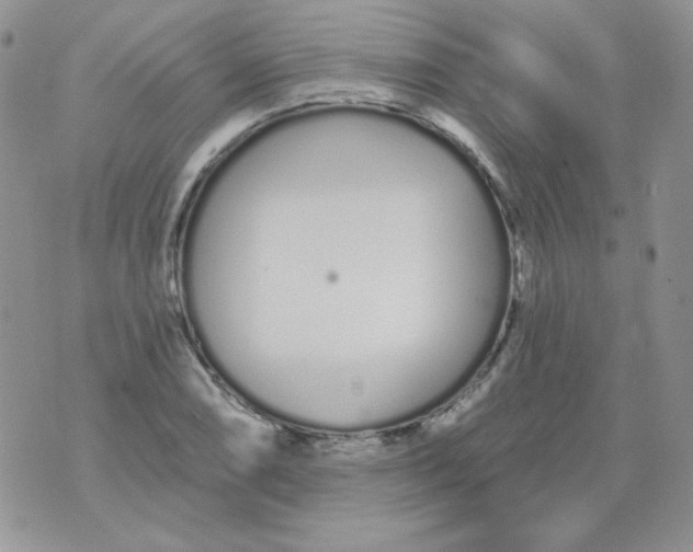 X0000074321074200609152026