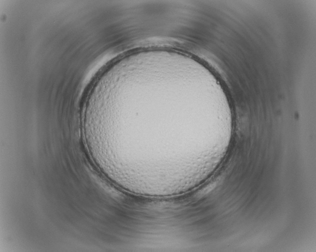 X0000074321075200609152026