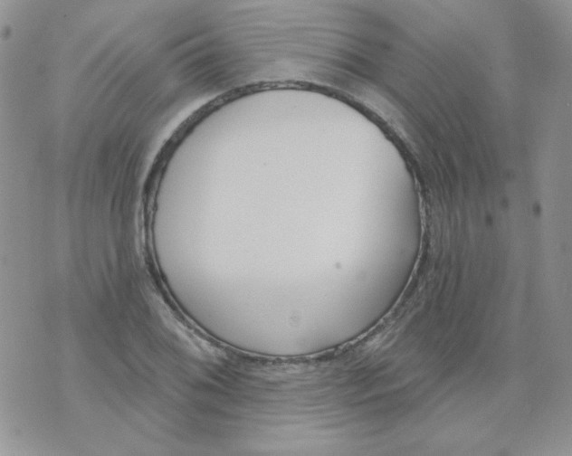 X0000074321076200609152026