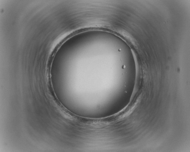 X0000074321077200609152026