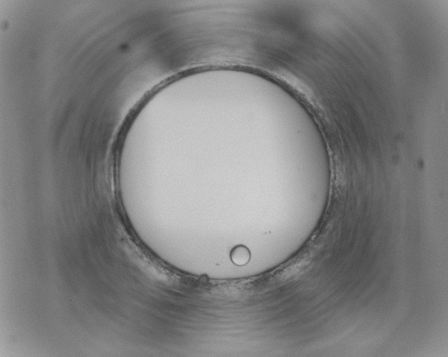 X0000074321078200609152026