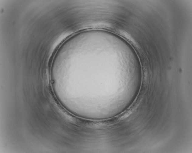 X0000074321079200609152026