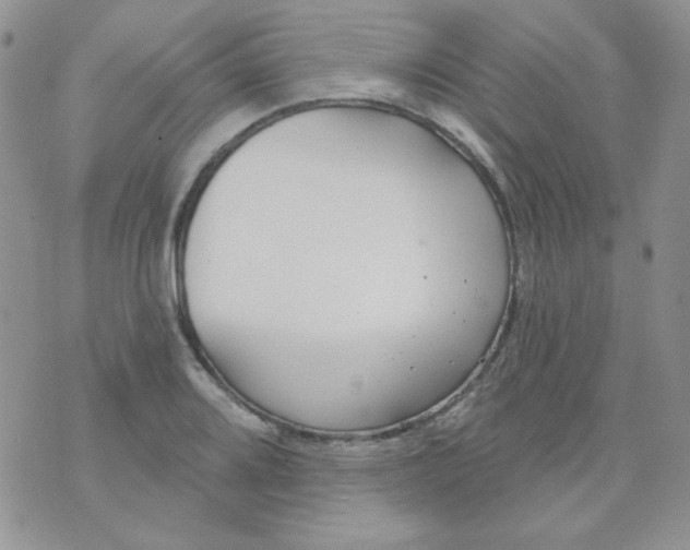 X0000074321080200609152026