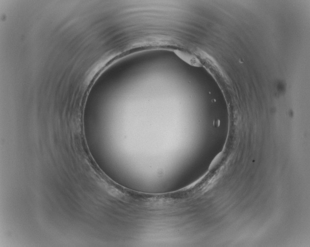 X0000074321081200609152026