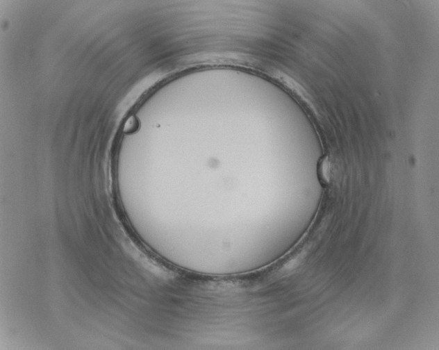 X0000074321082200609152026