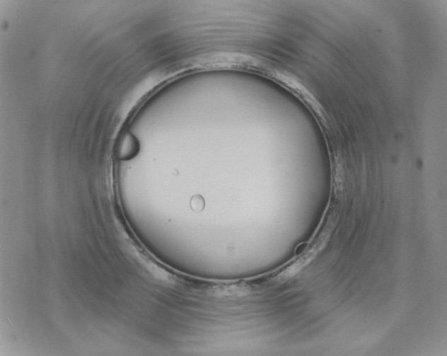 X0000074321083200609152026