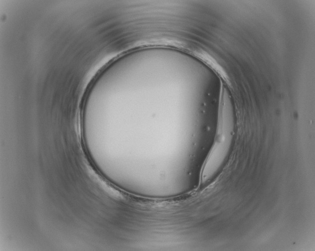 X0000074321084200609152026