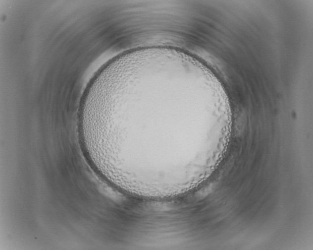 X0000074321086200609152026