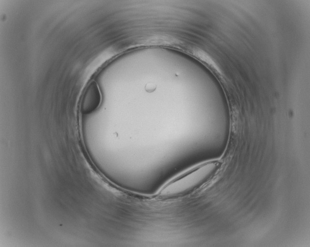 X0000074321087200609152026