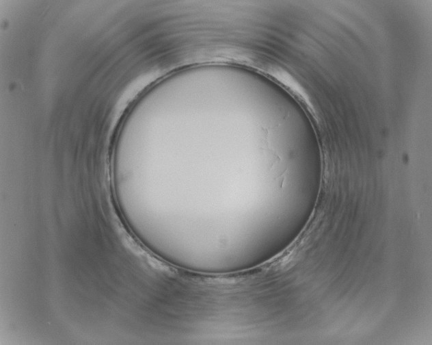 X0000074321088200609152026