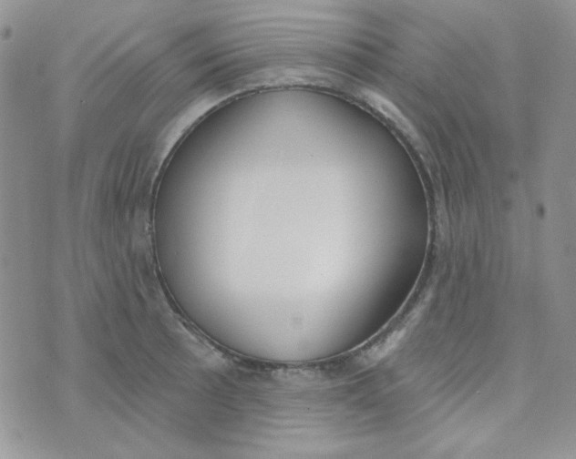 X0000074321089200609152026