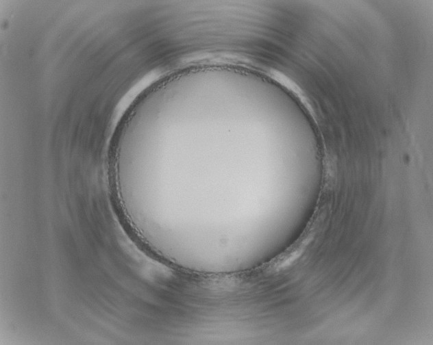 X0000074321090200609152026