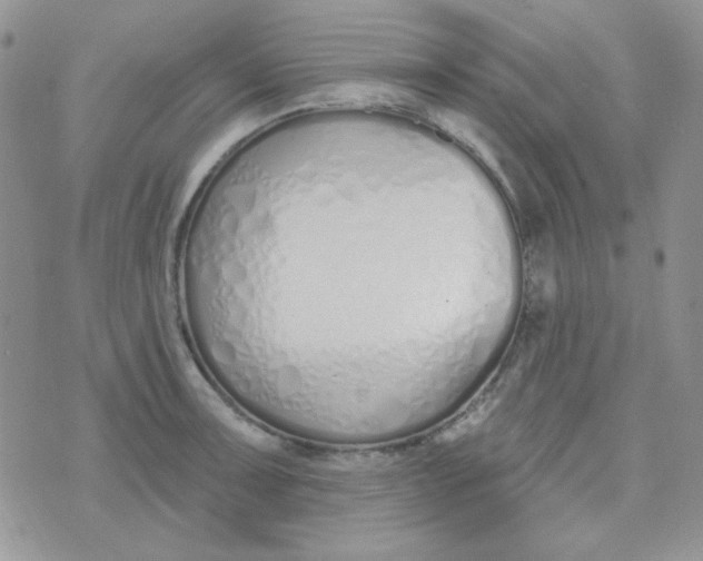 X0000074321091200609152026