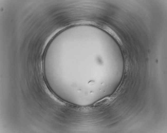 X0000074321092200609152026