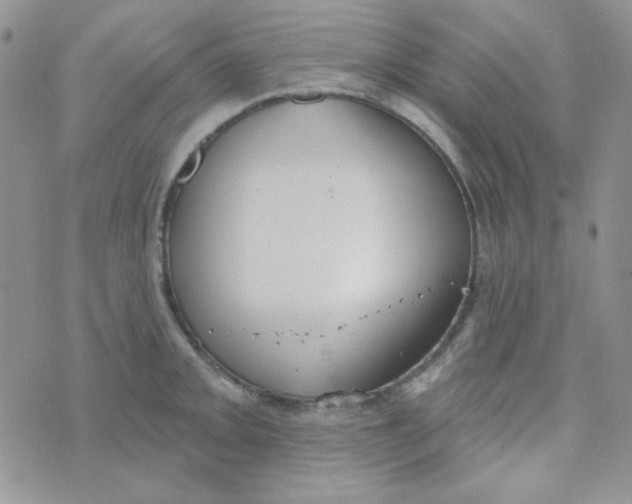 X0000074321093200609152026