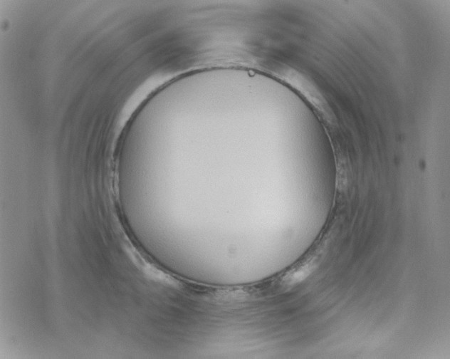 X0000074321094200609152026