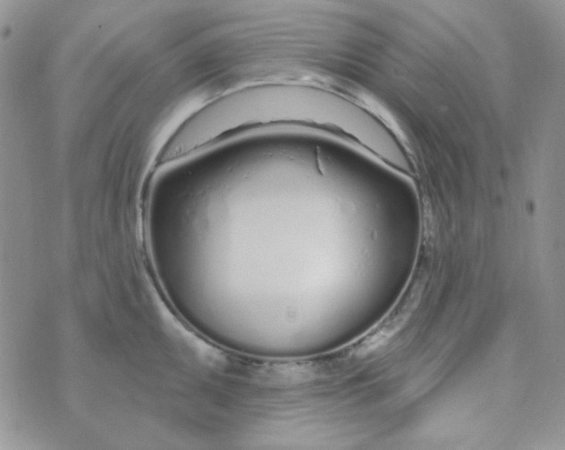 X0000074321095200609152026