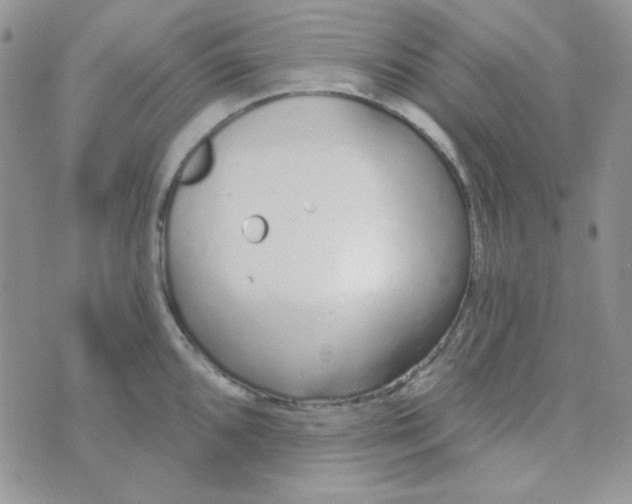 X0000074321096200609152026