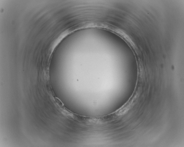 X0000074321097200609152026