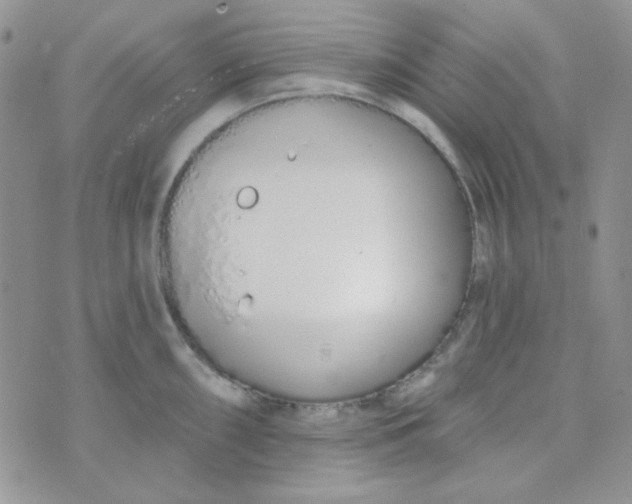 X0000074321098200609152026