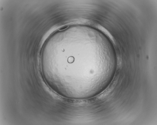 X0000074321099200609152026